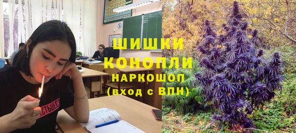 дурь Алзамай