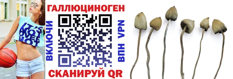 ОМГ ОМГ сайт  Ивангород  Галлюциногенные грибы GOLDEN TEACHER 